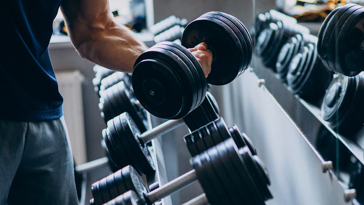 Protocolos de Treino